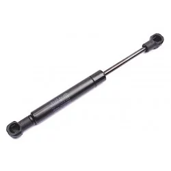 Verin 200N pour porte Micro-ondes Kuppersbush - 543598