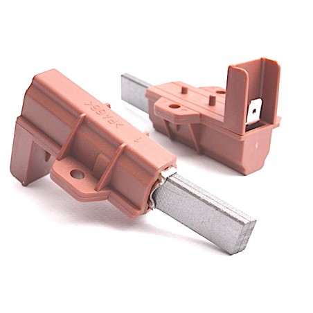 Charbons moteur collecteur (le jeu de 2) - C00196539 C00196544