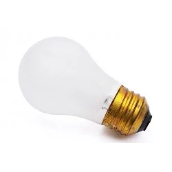 Ampoule Réfrigérateur Americain 40W 130V 481913488143